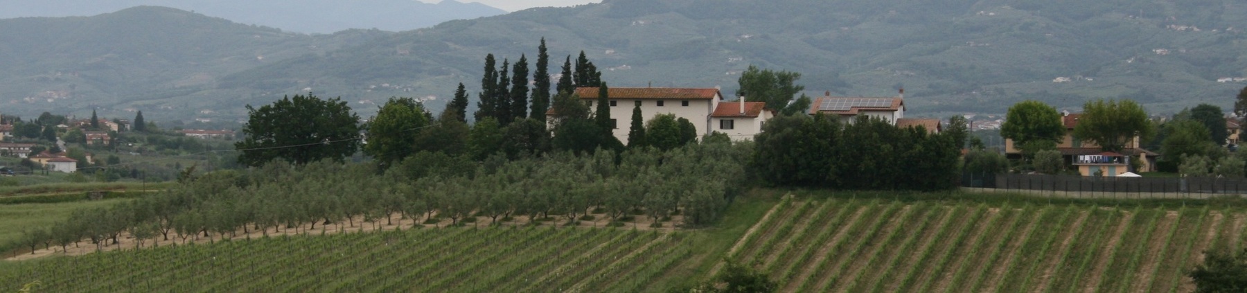 Fattoria Sommiano